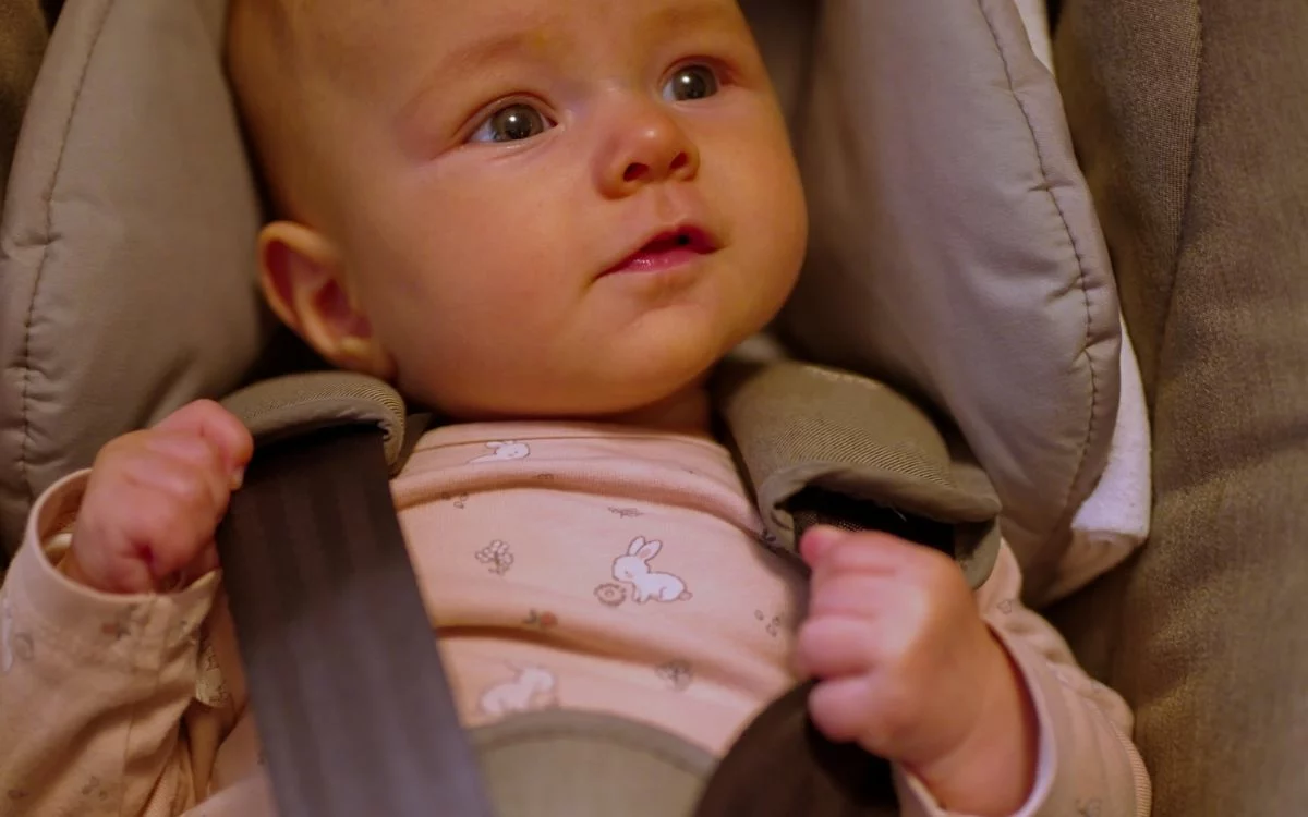 assento para carrinho de beb