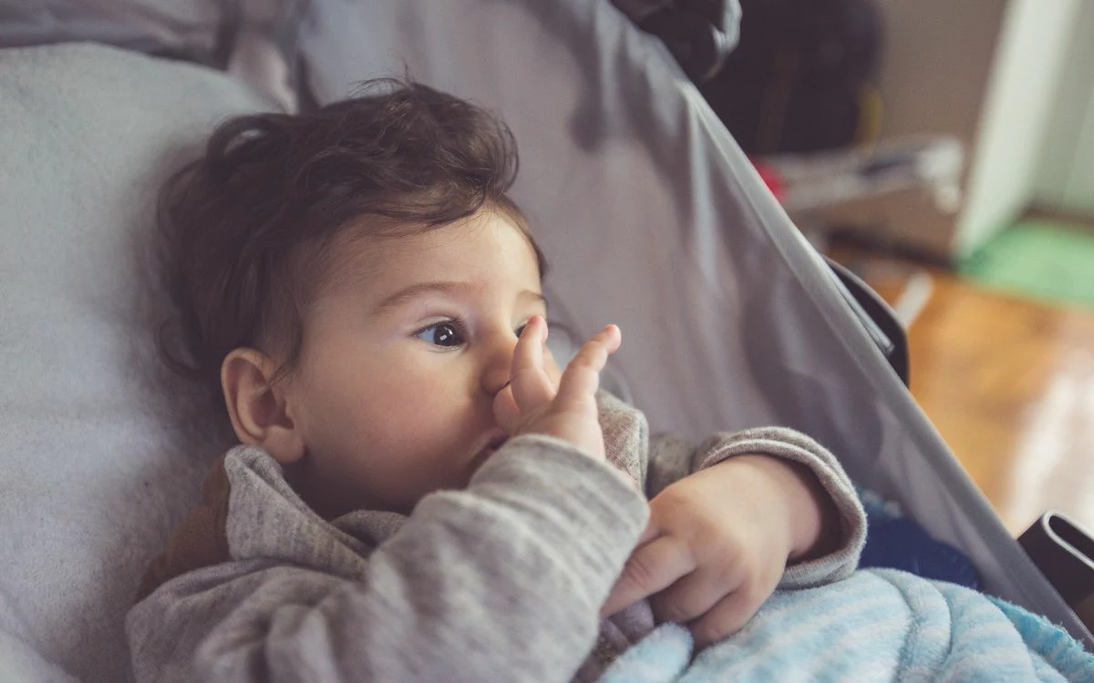 ber o port til para carrinho de beb